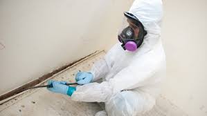 Professional mold inspection identifying hidden mold growth during a residential damp and mold assessment.