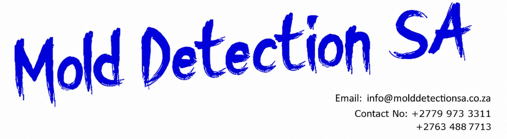 Mold Detection SA